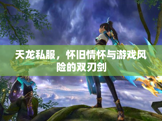 天龙私服，怀旧情怀与游戏风险的双刃剑