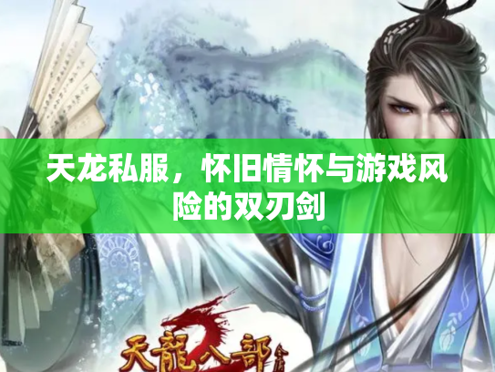 天龙私服，怀旧情怀与游戏风险的双刃剑