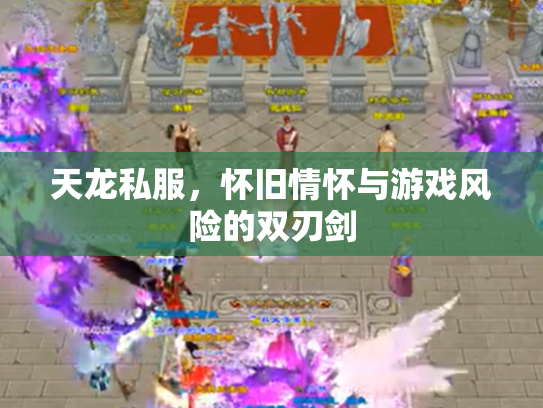 天龙私服，怀旧情怀与游戏风险的双刃剑