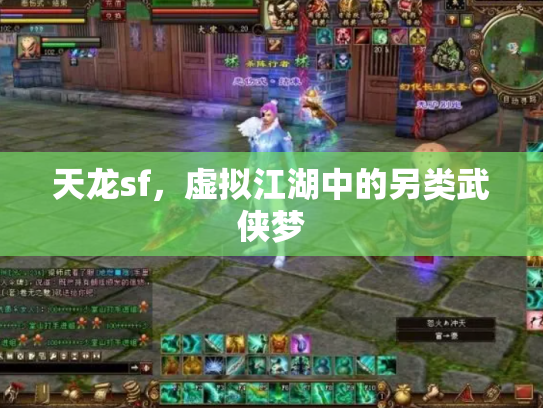 天龙sf，虚拟江湖中的另类武侠梦
