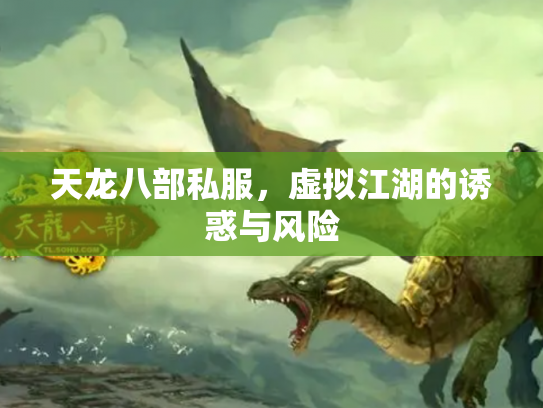 天龙八部私服，虚拟江湖的诱惑与风险