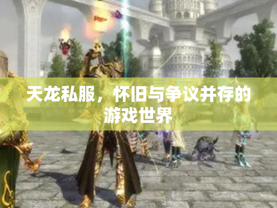 天龙私服，怀旧与争议并存的游戏世界