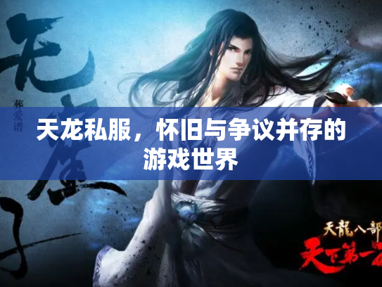 天龙私服，怀旧与争议并存的游戏世界