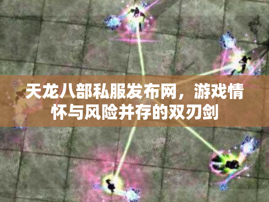 天龙八部私服发布网，游戏情怀与风险并存的双刃剑