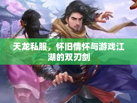 天龙私服，怀旧情怀与游戏江湖的双刃剑