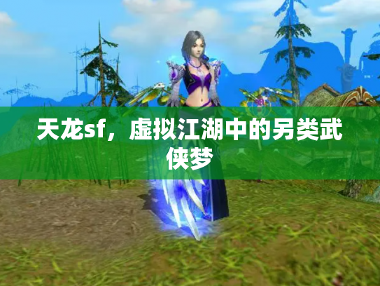 天龙sf，虚拟江湖中的另类武侠梦