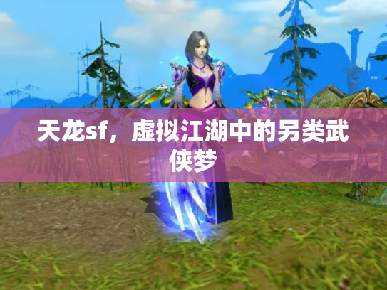天龙sf，虚拟江湖中的另类武侠梦