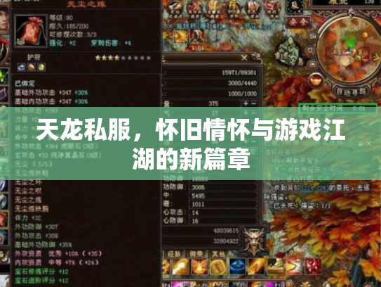 天龙私服，怀旧情怀与游戏江湖的新篇章