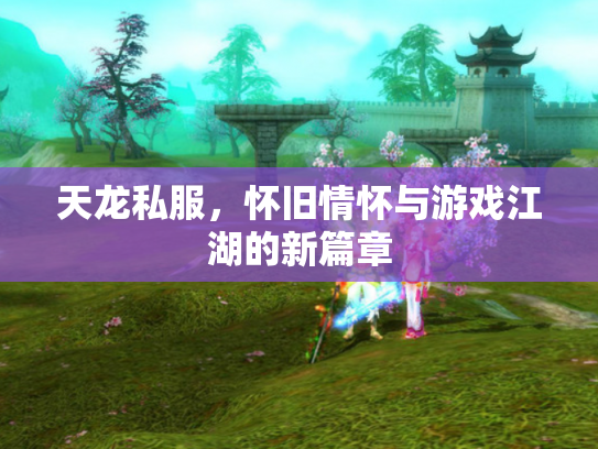 天龙私服，怀旧情怀与游戏江湖的新篇章