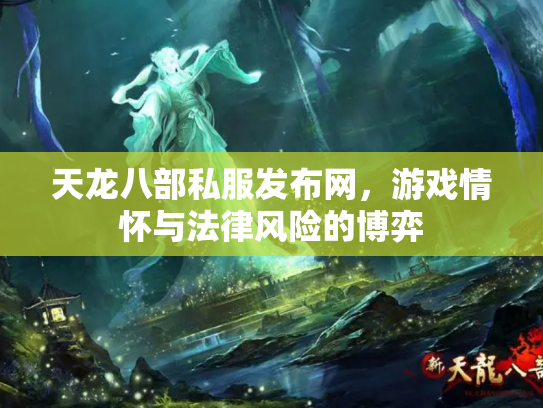 天龙八部私服发布网，游戏情怀与法律风险的博弈