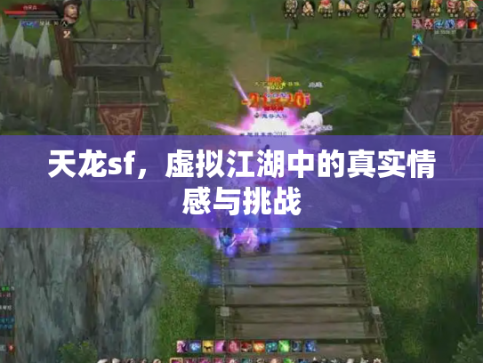 天龙sf，虚拟江湖中的真实情感与挑战