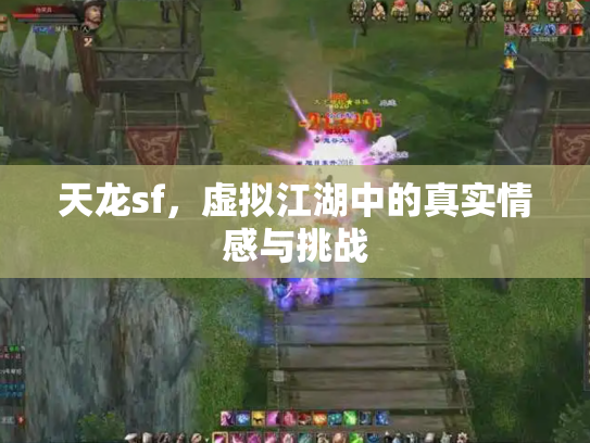 天龙sf，虚拟江湖中的真实情感与挑战