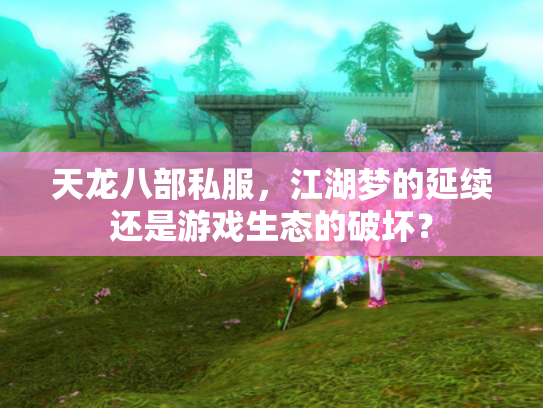 天龙八部私服，江湖梦的延续还是游戏生态的破坏？