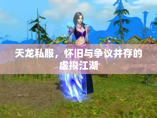 天龙私服，怀旧与争议并存的虚拟江湖