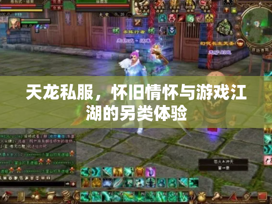 天龙私服，怀旧情怀与游戏江湖的另类体验