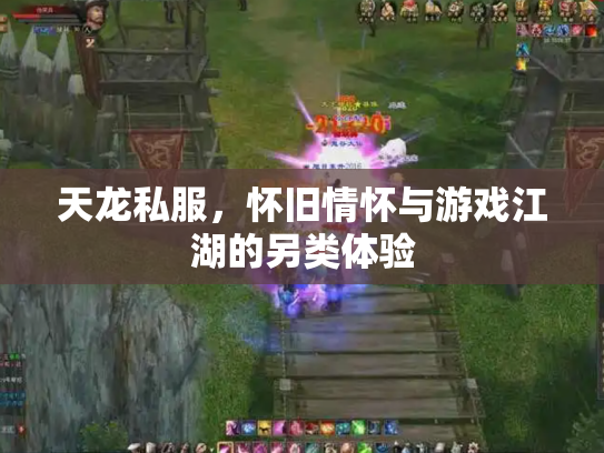天龙私服，怀旧情怀与游戏江湖的另类体验