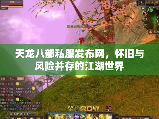 天龙八部私服发布网，怀旧与风险并存的江湖世界