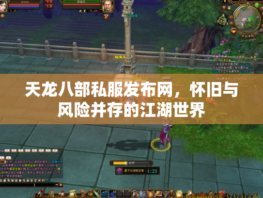 天龙八部私服发布网，怀旧与风险并存的江湖世界