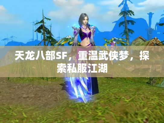 天龙八部SF，重温武侠梦，探索私服江湖
