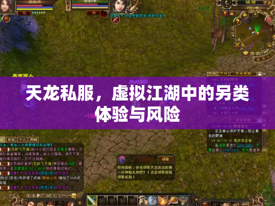 天龙私服，虚拟江湖中的另类体验与风险