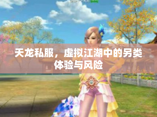 天龙私服，虚拟江湖中的另类体验与风险