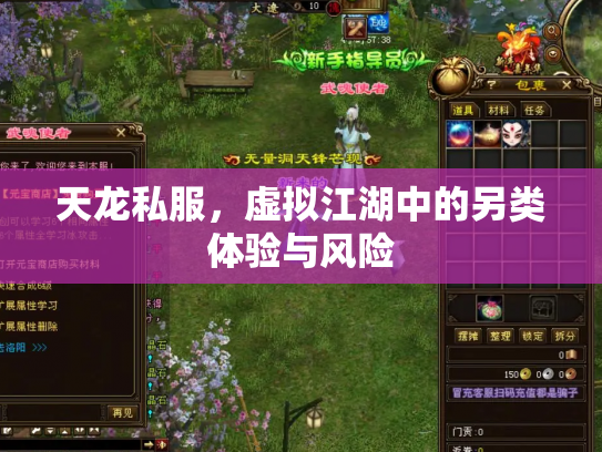 天龙私服，虚拟江湖中的另类体验与风险