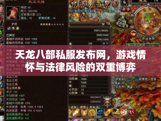 天龙八部私服发布网，游戏情怀与法律风险的双重博弈