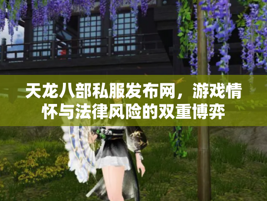 天龙八部私服发布网，游戏情怀与法律风险的双重博弈