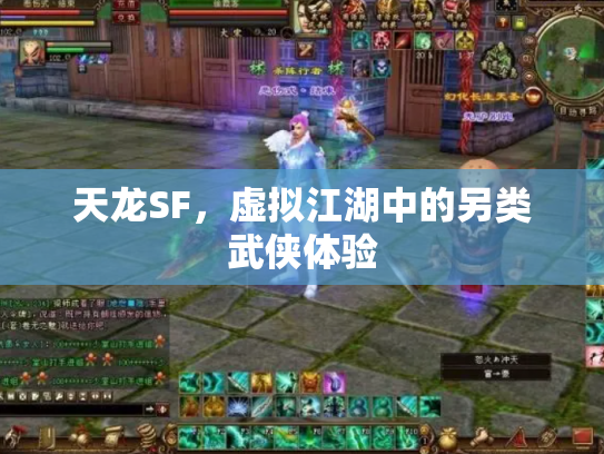 天龙SF，虚拟江湖中的另类武侠体验