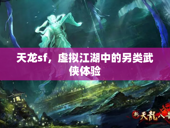 天龙sf，虚拟江湖中的另类武侠体验