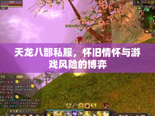 天龙八部私服，怀旧情怀与游戏风险的博弈