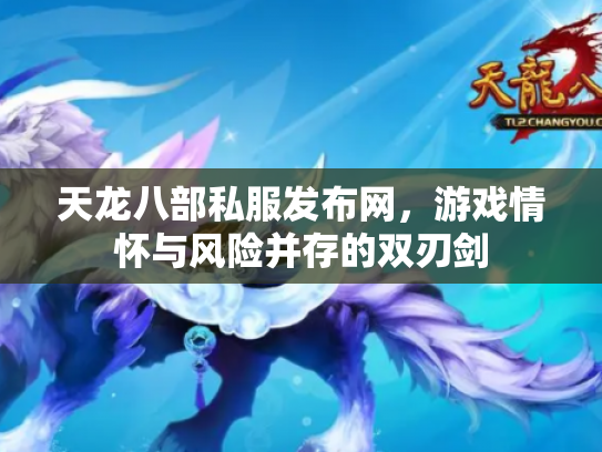 天龙八部私服发布网，游戏情怀与风险并存的双刃剑