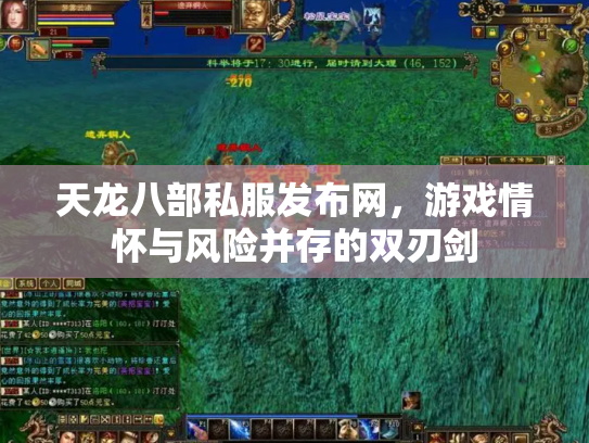 天龙八部私服发布网，游戏情怀与风险并存的双刃剑