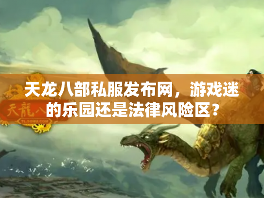 天龙八部私服发布网，游戏迷的乐园还是法律风险区？