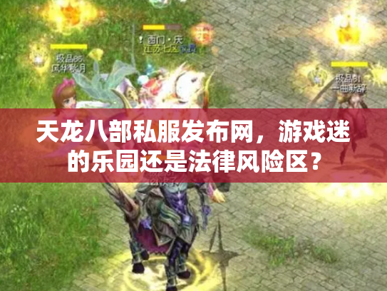 天龙八部私服发布网，游戏迷的乐园还是法律风险区？