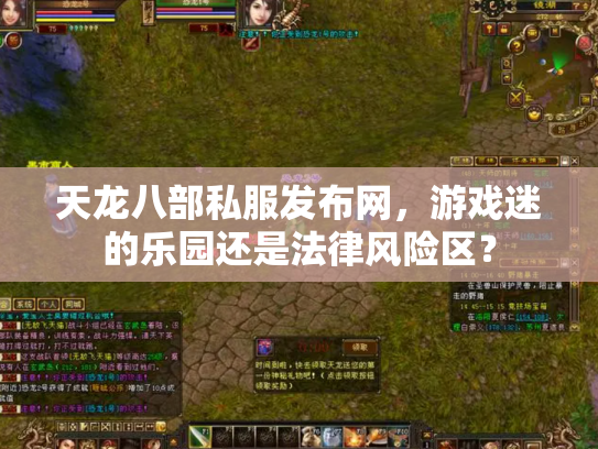天龙八部私服发布网，游戏迷的乐园还是法律风险区？
