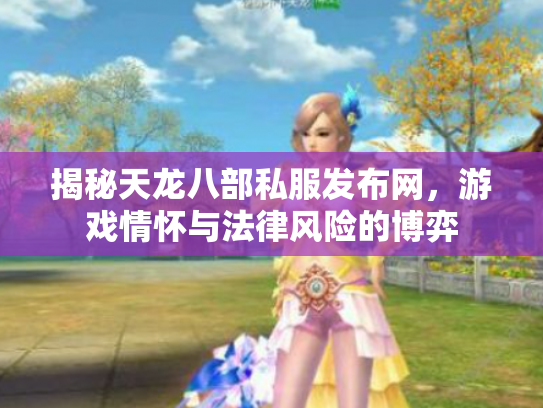 揭秘天龙八部私服发布网，游戏情怀与法律风险的博弈