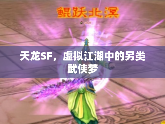 天龙SF，虚拟江湖中的另类武侠梦