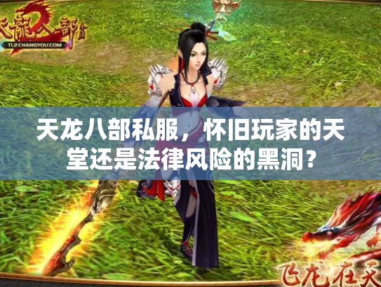 天龙八部私服，怀旧玩家的天堂还是法律风险的黑洞？