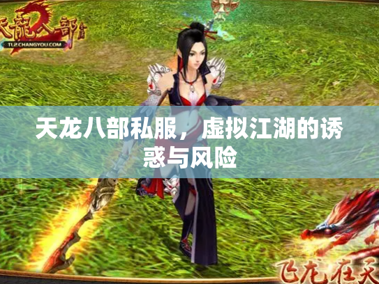 天龙八部私服，虚拟江湖的诱惑与风险