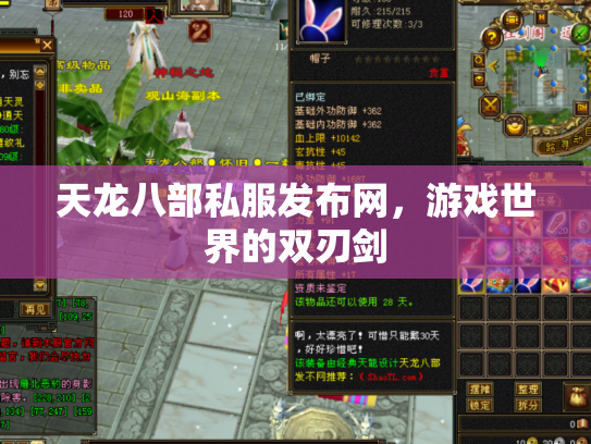 天龙八部私服发布网，游戏世界的双刃剑