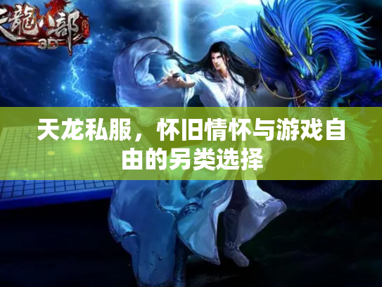 天龙私服，怀旧情怀与游戏自由的另类选择
