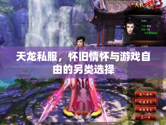 天龙私服，怀旧情怀与游戏自由的另类选择