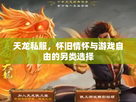 天龙私服，怀旧情怀与游戏自由的另类选择