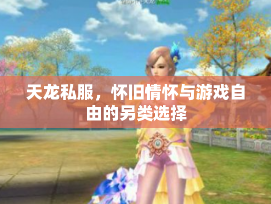 天龙私服，怀旧情怀与游戏自由的另类选择