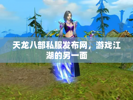 天龙八部私服发布网，游戏江湖的另一面