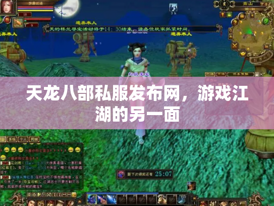 天龙八部私服发布网，游戏江湖的另一面