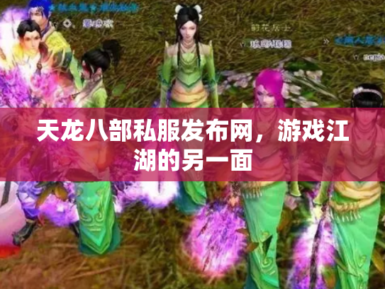天龙八部私服发布网，游戏江湖的另一面