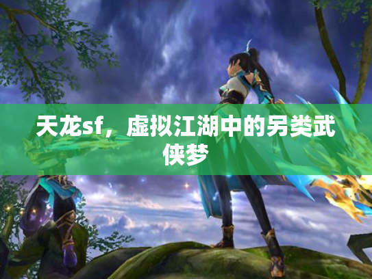 天龙sf，虚拟江湖中的另类武侠梦
