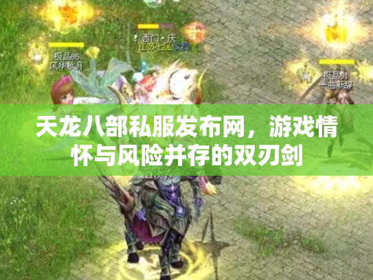 天龙八部私服发布网，游戏情怀与风险并存的双刃剑